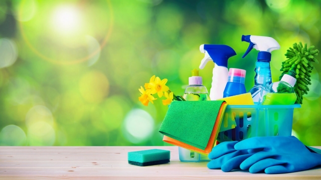 Effortless Tips for Sparkling Homes: Mastering the Art of House Cleaning