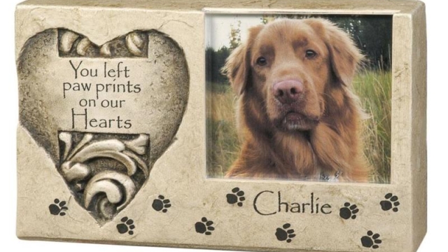 Paws in Paradise: Honoring Our Beloved Pets with a Touching Memorial