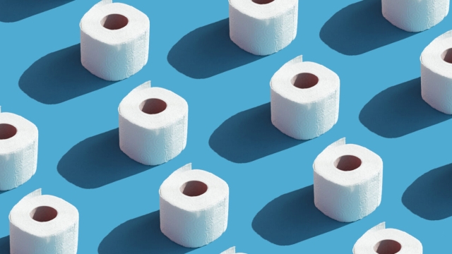 The Evolution of Toilet Paper: From Leaves to Luxury Rolls