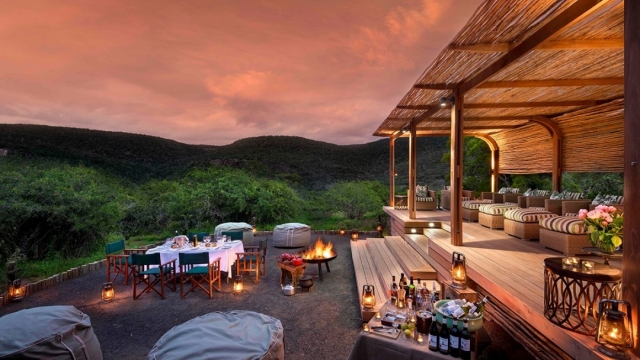 Unleashing the Wild Side: Embark on a Luxurious Safari Adventure