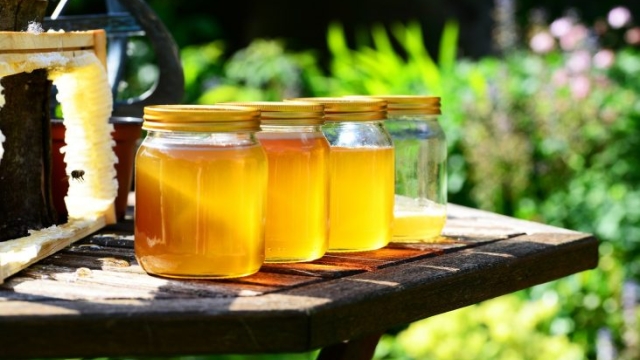 The Sweet and Bewitching World of Mad Honey