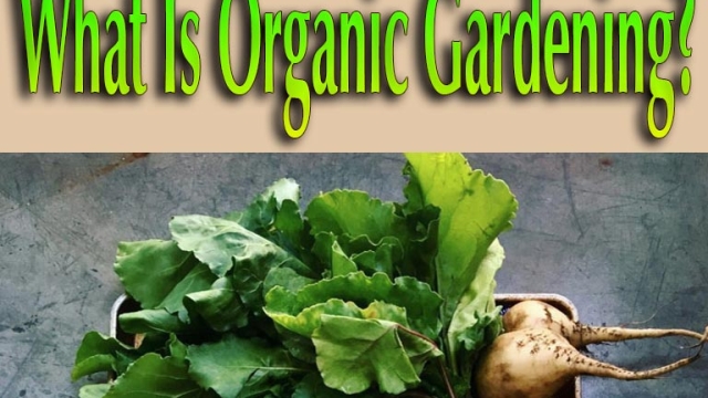 Green Thumbs and Bountiful Harvests: Unleashing the Magic of Organic Gardening