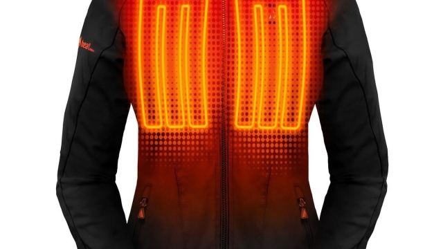 Stay Cozy on the Go: Unleash the Warmth with a Heated Vest!