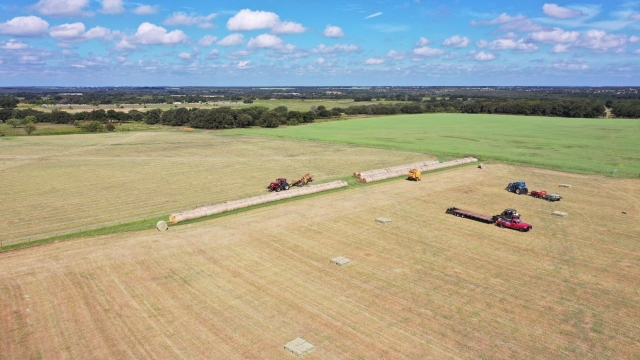 The Coastal Farming Oasis: Sowing the Seeds of Paradise