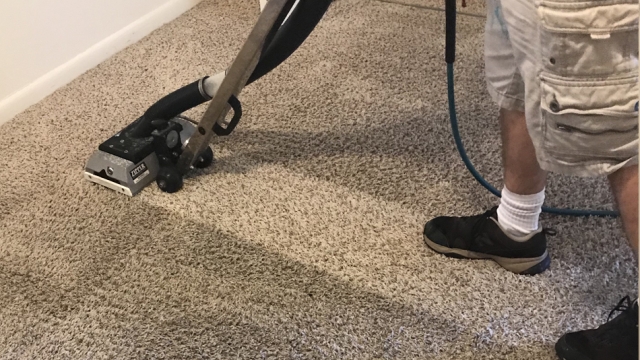 Revive Your Space: The Ultimate Guide to Carpet Cleaning Tips and Tricks