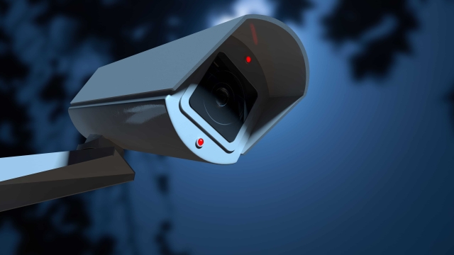 Unveiling the Watchful Eye: An In-depth Look at Security Cameras