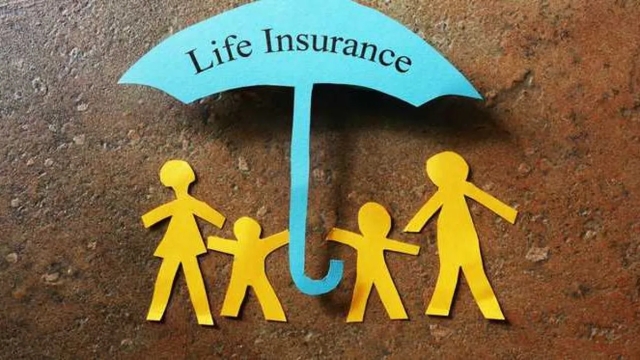 Securing Your Future: A Comprehensive Guide to Insurance Services