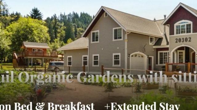Discovering Community: Making Friends During Your Extended Stay