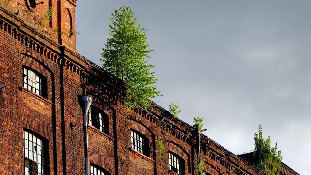 Overview of Constructum Code’s Building and Renovation Services