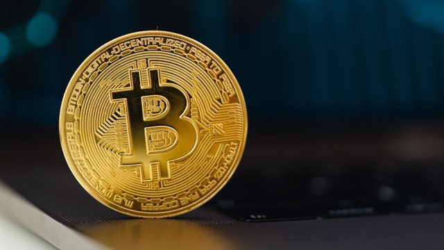 Overview of Mutuum’s Investment Solutions