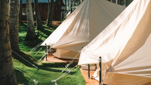 Discovering the Value of Deluxe Canopy’s Product Offerings