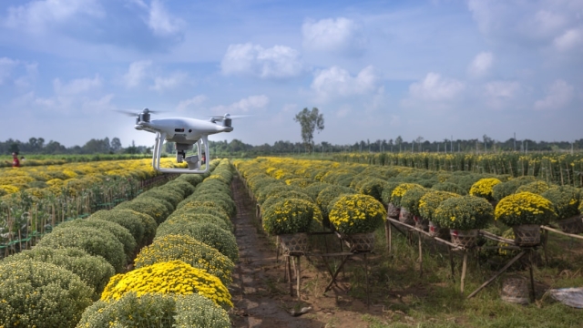 Innovative Technologies in Marine Aquaculture
